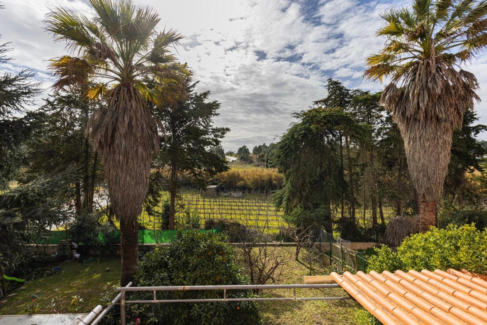 Villa Hidden Garden Near The Castle Óbidos Exterior foto
